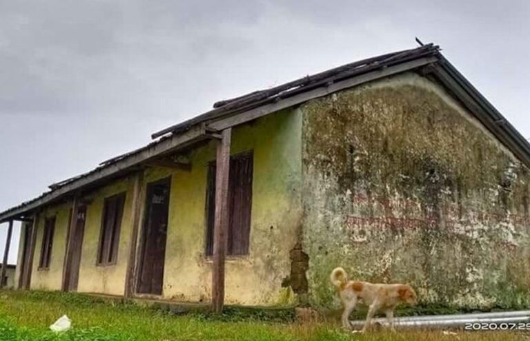 Shree Chepang Pragati Primary School